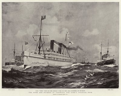 Hertugen og hertuginden af Cornwall og York